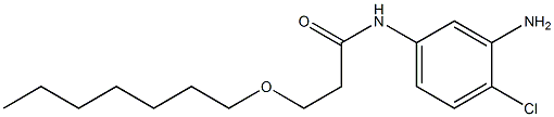 N-(3-amino-4-chlorophenyl)-3-(heptyloxy)propanamide Struktur