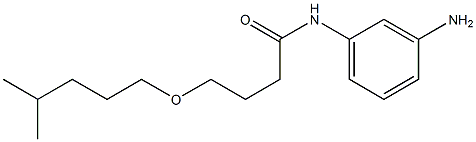 N-(3-aminophenyl)-4-[(4-methylpentyl)oxy]butanamide Struktur