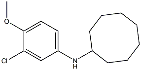 N-(3-chloro-4-methoxyphenyl)cyclooctanamine Struktur