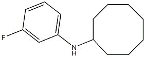 N-(3-fluorophenyl)cyclooctanamine Struktur