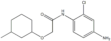 N-(4-amino-2-chlorophenyl)-2-[(3-methylcyclohexyl)oxy]acetamide Struktur