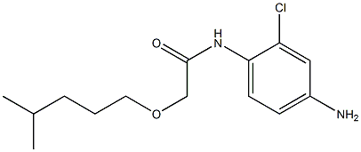 N-(4-amino-2-chlorophenyl)-2-[(4-methylpentyl)oxy]acetamide Struktur