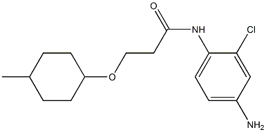 N-(4-amino-2-chlorophenyl)-3-[(4-methylcyclohexyl)oxy]propanamide Struktur