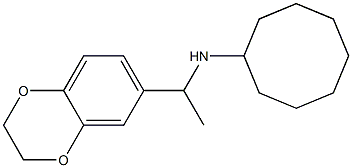 N-[1-(2,3-dihydro-1,4-benzodioxin-6-yl)ethyl]cyclooctanamine Struktur