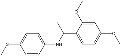 N-[1-(2,4-dimethoxyphenyl)ethyl]-4-(methylsulfanyl)aniline Struktur