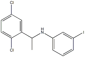 N-[1-(2,5-dichlorophenyl)ethyl]-3-iodoaniline Struktur