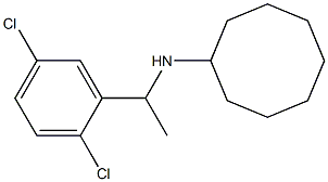 N-[1-(2,5-dichlorophenyl)ethyl]cyclooctanamine Struktur