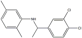 N-[1-(3,4-dichlorophenyl)ethyl]-2,5-dimethylaniline Struktur