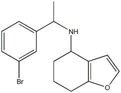 N-[1-(3-bromophenyl)ethyl]-4,5,6,7-tetrahydro-1-benzofuran-4-amine Struktur