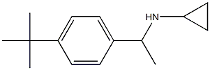 N-[1-(4-tert-butylphenyl)ethyl]-N-cyclopropylamine Struktur