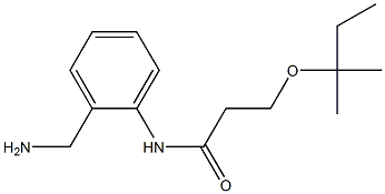 N-[2-(aminomethyl)phenyl]-3-[(2-methylbutan-2-yl)oxy]propanamide Struktur