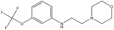 N-[2-(morpholin-4-yl)ethyl]-3-(trifluoromethoxy)aniline Struktur