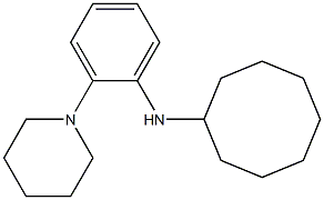 N-[2-(piperidin-1-yl)phenyl]cyclooctanamine Struktur