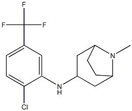 N-[2-chloro-5-(trifluoromethyl)phenyl]-8-methyl-8-azabicyclo[3.2.1]octan-3-amine Struktur