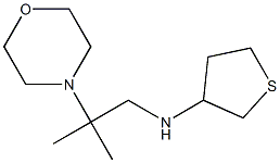 N-[2-methyl-2-(morpholin-4-yl)propyl]thiolan-3-amine Struktur