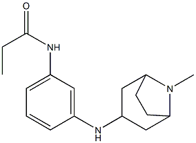 N-[3-({8-methyl-8-azabicyclo[3.2.1]octan-3-yl}amino)phenyl]propanamide Struktur