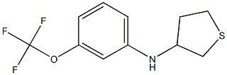 N-[3-(trifluoromethoxy)phenyl]thiolan-3-amine Struktur