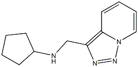 N-{[1,2,4]triazolo[3,4-a]pyridin-3-ylmethyl}cyclopentanamine Struktur