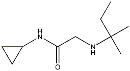 N-cyclopropyl-2-[(2-methylbutan-2-yl)amino]acetamide Struktur