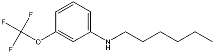 N-hexyl-3-(trifluoromethoxy)aniline Struktur