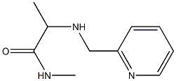 N-methyl-2-[(pyridin-2-ylmethyl)amino]propanamide Struktur