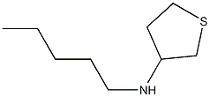 N-pentylthiolan-3-amine Struktur