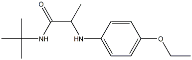 N-tert-butyl-2-[(4-ethoxyphenyl)amino]propanamide Struktur