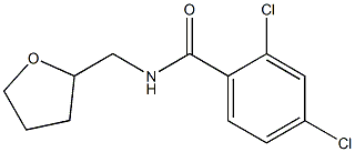 2,4-dichloro-N-(tetrahydro-2-furanylmethyl)benzamide Struktur