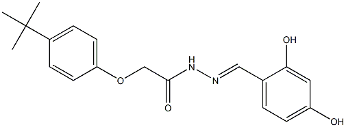 2-[4-(tert-butyl)phenoxy]-N'-[(E)-(2,4-dihydroxyphenyl)methylidene]acetohydrazide Struktur