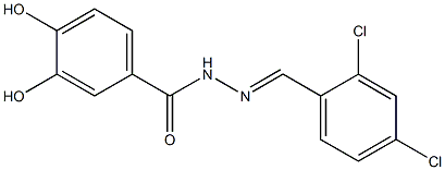 N'-[(E)-(2,4-dichlorophenyl)methylidene]-3,4-dihydroxybenzohydrazide Struktur