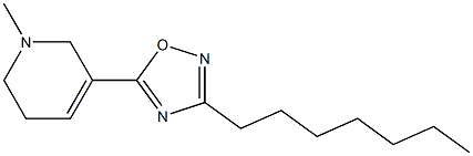 3-Heptyl-5-[(1,2,5,6-tetrahydro-1-methylpyridin)-3-yl]-1,2,4-oxadiazole Struktur