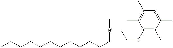 N-[2-(2,3,5,6-Tetramethylphenoxy)ethyl]-N,N-dimethyl-1-dodecanaminium Struktur