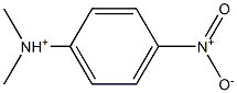 N,N-Dimethyl-4-nitroanilinium Struktur