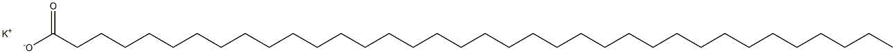 Hexatriacontanoic acid potassium salt Struktur