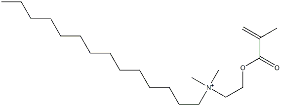 [2-(Methacryloyloxy)ethyl]dimethyltetradecylaminium Struktur