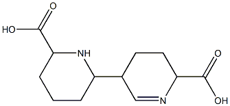 1,2,3,3',4,4',5,5',6,6'-Decahydro[2,3'-bipyridine]-6,6'-dicarboxylic acid Struktur