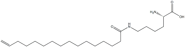 N6-(15-Hexadecenoyl)lysine Struktur