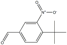 4-tert-Butyl-3-nitrobenzenecarbaldehyde Struktur