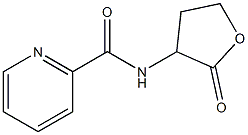 N-(2-Oxotetrahydrofuran-3-yl)-2-pyridinecarboxamide Struktur