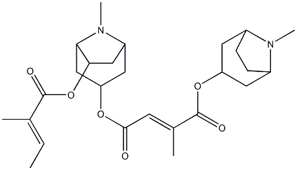 2-Methyl-2-butenedioic acid 1-(8-methyl-8-azabicyclo[3.2.1]octan-3-yl)4-[8-methyl-6-[(2-methyl-1-oxo-2-butenyl)oxy]-8-azabicyclo[3.2.1]octan-3-yl] ester Struktur