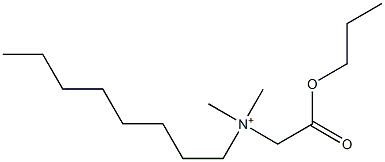 N,N-Dimethyl-N-(propoxycarbonylmethyl)-1-octanaminium Struktur