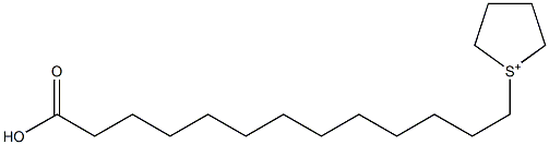 1-(12-Carboxydodecyl)thiolan-1-ium Struktur