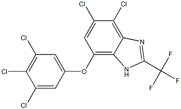 4,5-Dichloro-7-(3,4,5-trichlorophenoxy)-2-trifluoromethyl-1H-benzimidazole Struktur