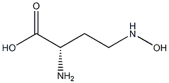 (S)-4-(Hydroxyamino)-2-aminobutyric acid Struktur