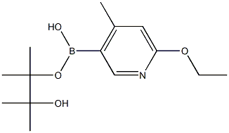 6-Ethoxy-4-methylpyridine-3-boronic acid pinacol ester Struktur