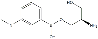 3-(N,N-dimethylamino)phenylboronic acid sterol ester Struktur