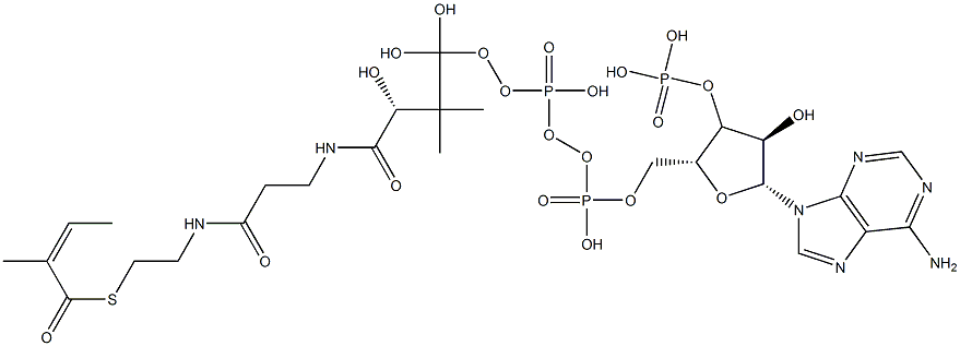 [(2R,3R,4R,5R)-5-(6-aminopurin-9-yl)-4-hydroxy-2-[[hydroxy-[hydroxy-[3-hydroxy-2,2-dimethyl-3-[2-[2-[(Z)-2-methylbut-2-enoyl]sulfanylethylcarbamoyl]ethylcarbamoyl]propoxy]phosphoryl]oxy-phosphoryl]oxymethyl]oxolan-3-yl]oxyphosphonic acid Struktur