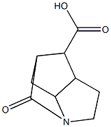 (hexahydro-5-oxo-1H-pyrrolizinyl-1-yl)acetic acid Struktur