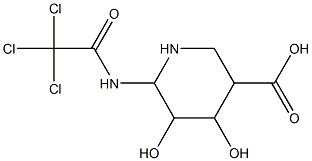 6-(trichloroacetamido)-4,5-dihydroxypiperidine-3-carboxylic acid Struktur