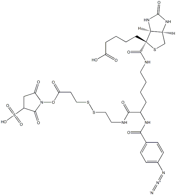 sulfosuccinimidyl 3-((2-(6-(biotinamido)-2-(4-azidobenzamido)hexanamido)ethyl)dithio)propionate Struktur